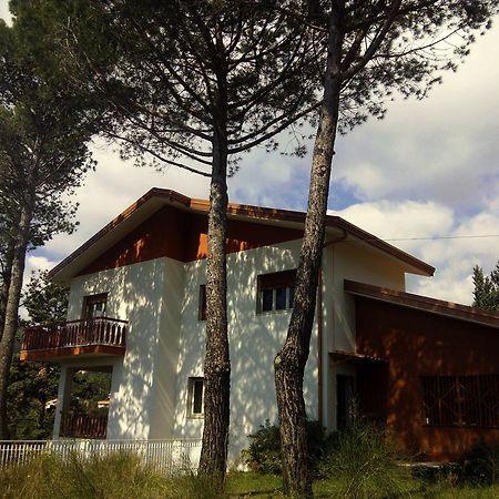 Il Giardino Di Leoca Bed & Breakfast Nicolosi Luaran gambar