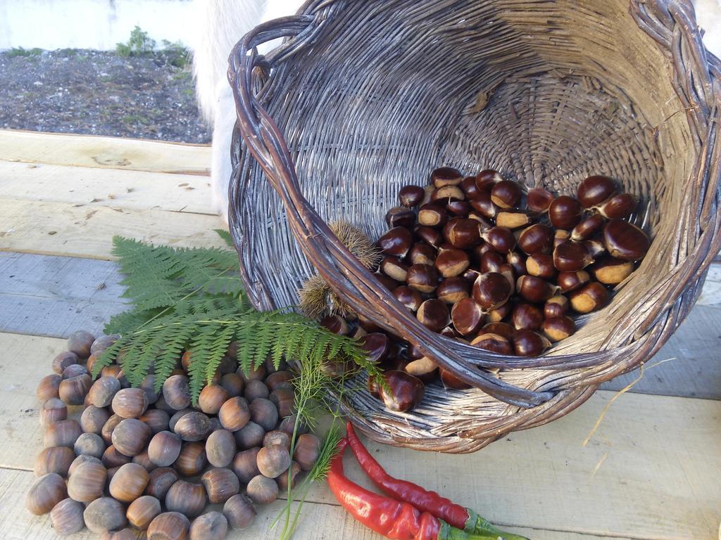 Il Giardino Di Leoca Bed & Breakfast Nicolosi Bilik gambar