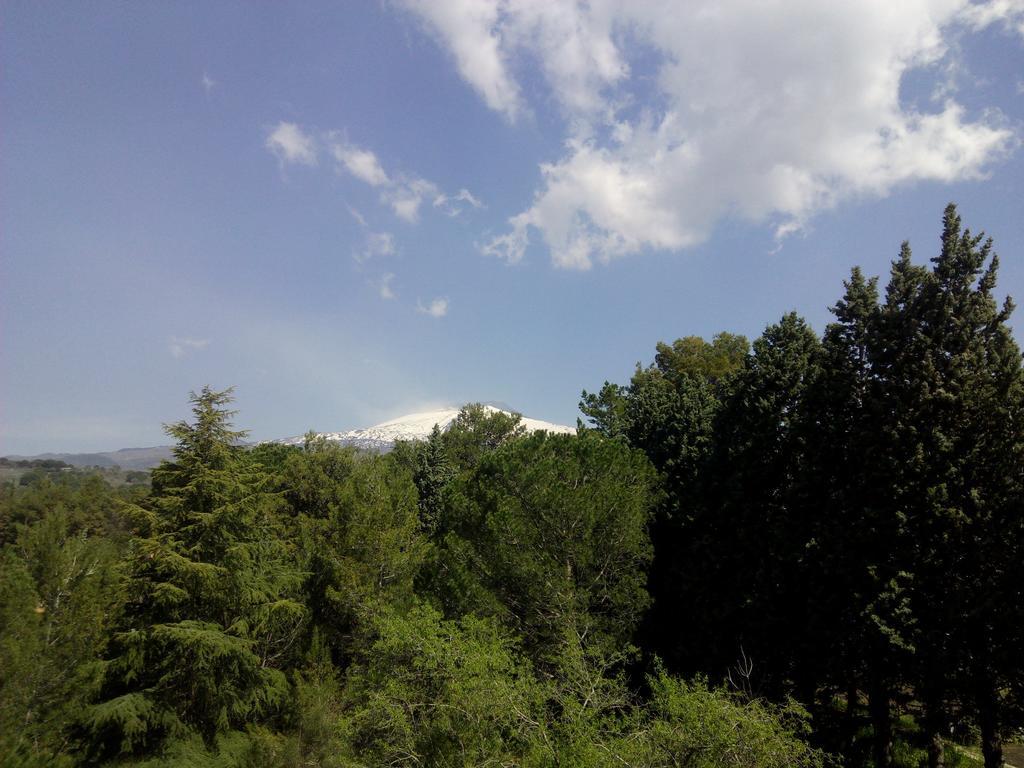 Il Giardino Di Leoca Bed & Breakfast Nicolosi Luaran gambar