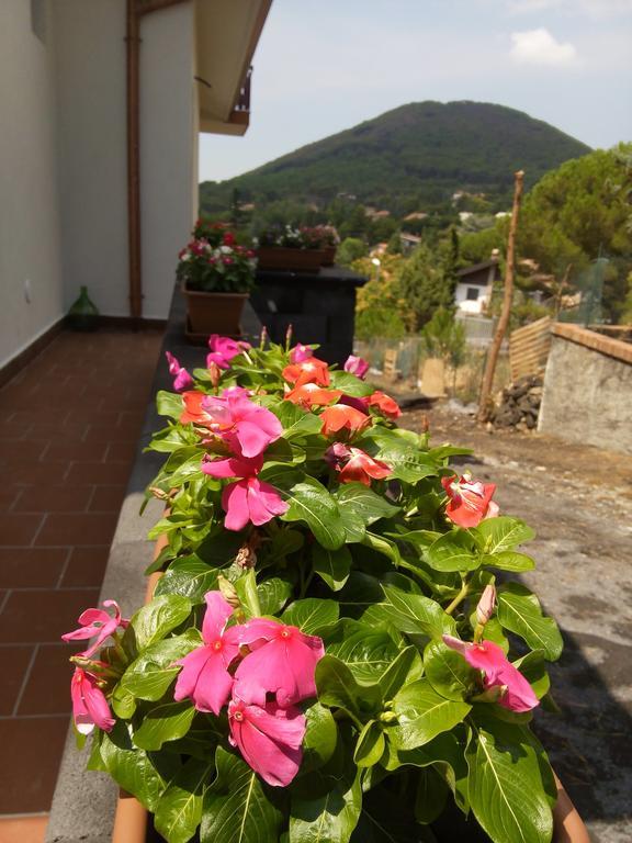 Il Giardino Di Leoca Bed & Breakfast Nicolosi Luaran gambar